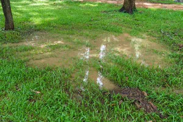 Cost of Storm Water Drainage Service in Westerville