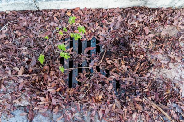 Cost of Yard Drain Unclogging in Westerville