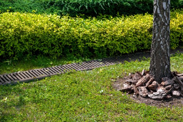 Cost of Residential Landscape Drainage in Westerville
