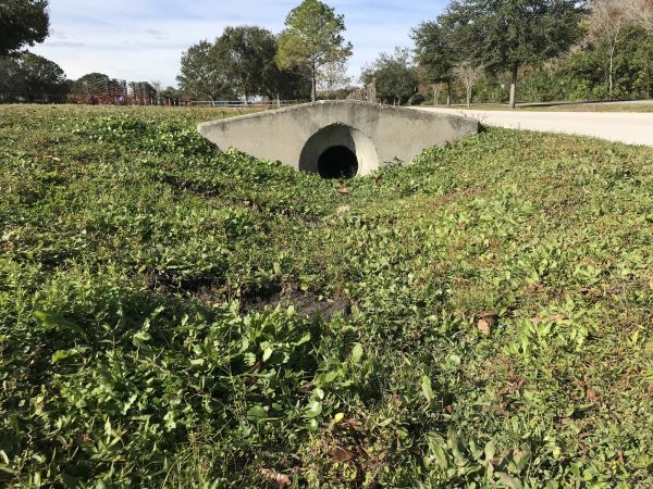 Cost of Swale Drainage Service in Westerville